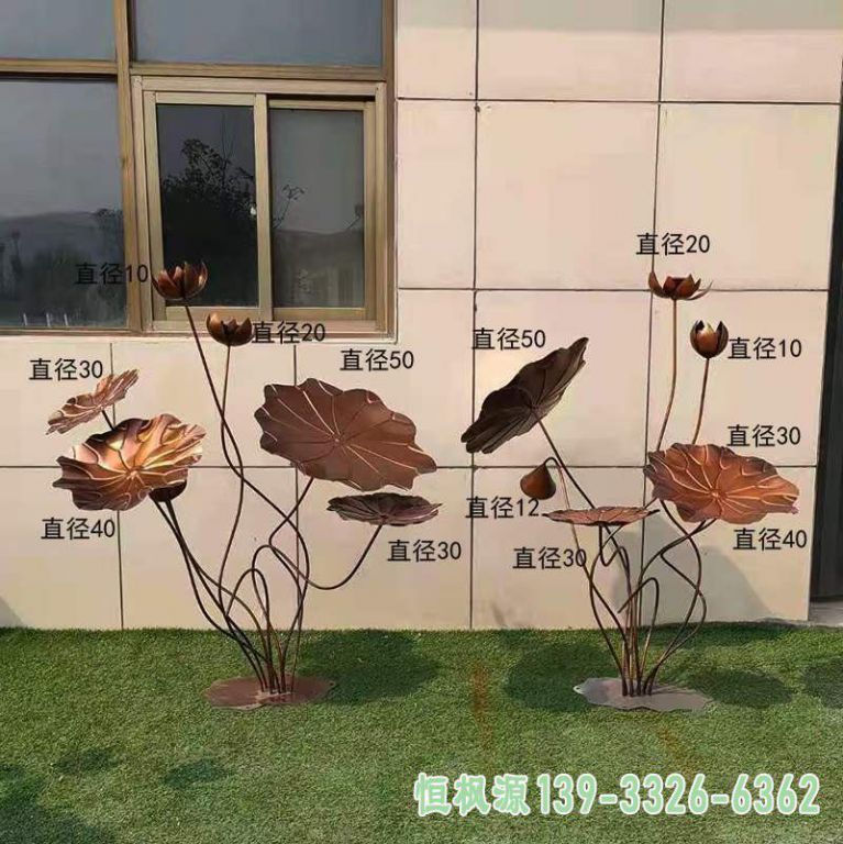 荷花 (4)