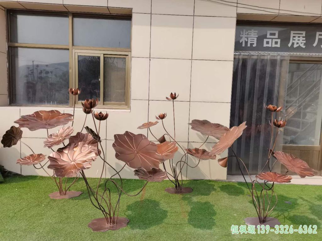 荷花 (11)